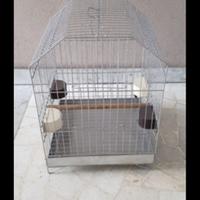 Gabbietta per uccelli