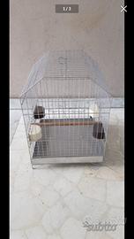 Gabbietta per uccelli