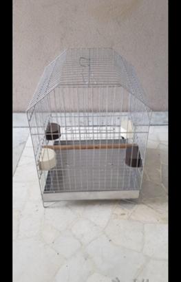 Gabbietta per uccelli