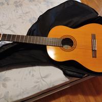 Chitarra Yamaha 