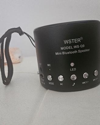 Mini speaker bluetooth Ws Q9