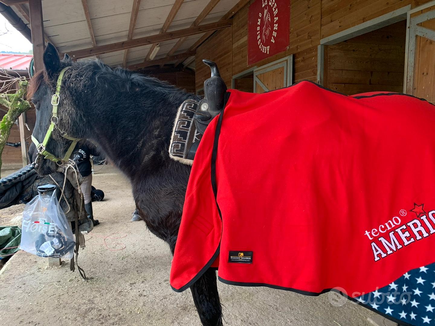 Coperta Pile Cavallo - Accessori per animali In vendita a Firenze