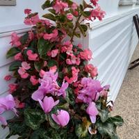 Camera come alloggio