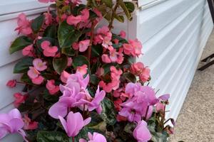 Camera come alloggio