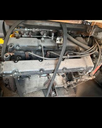 Moore FIAT DINO FERRARI 2000 135B 135.000