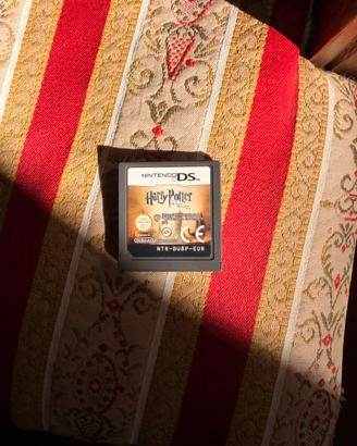 Schedina Harry Potter Nintendo DS