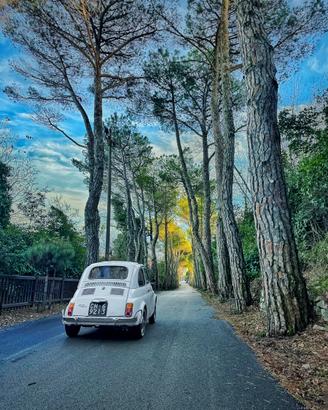 fiat 500 L