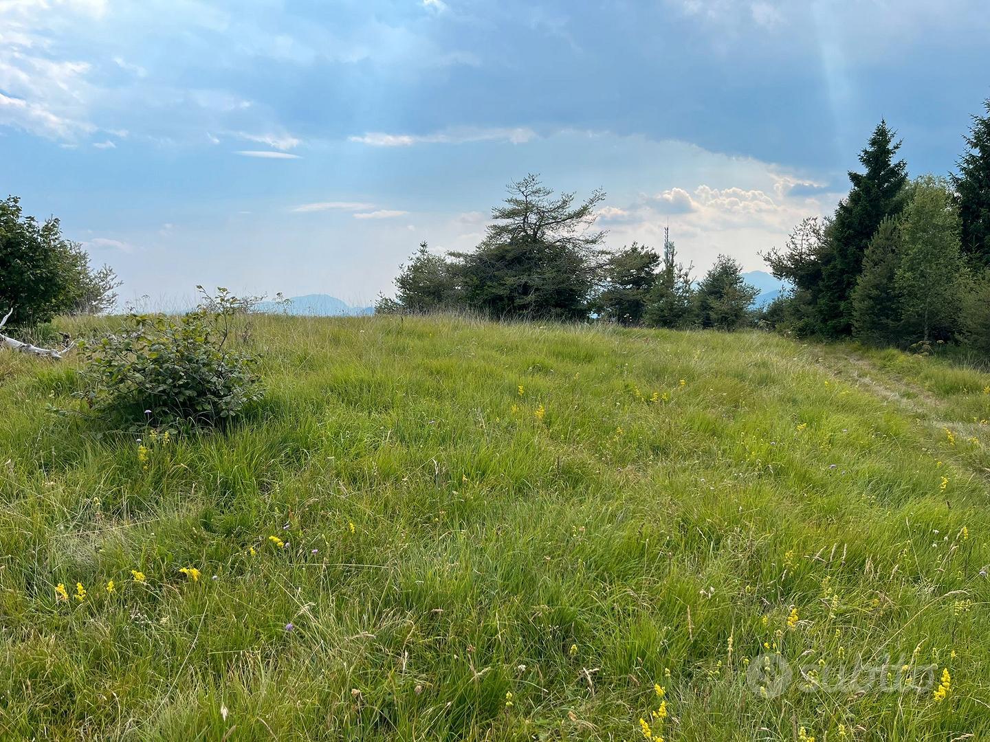 Terreno Agricolo - Vista 2