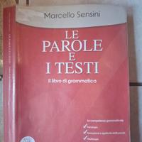 Libro di grammatica- Le parole e i testi