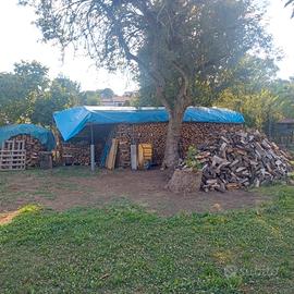 legna da ardere 