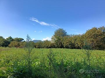 TER. RESIDENZIALE A AIELLO DEL SABATO