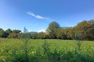 TER. RESIDENZIALE A AIELLO DEL SABATO