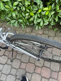 Bici da uomo