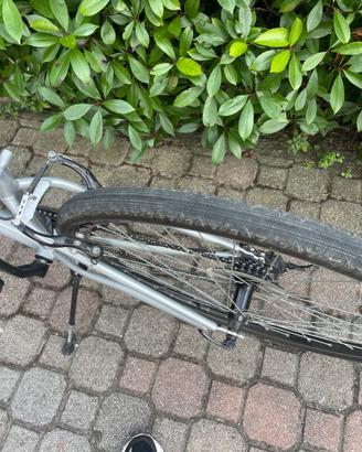 Bici da uomo