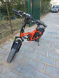 Bici elettrica 