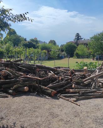 legna da ardere 