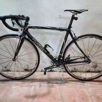 Splendida Wilier Triestina Imperiale