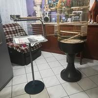 Gabbia piu traspalle