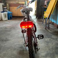 Bici bottecchia da bambina