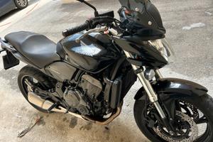 Honda Hornet