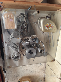 Motore siata cucciolo certificato