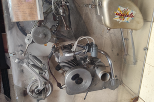 Motore siata cucciolo certificato