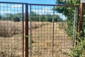 terreno agricolo Giugliano in Campania 