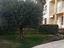 Immagine 5