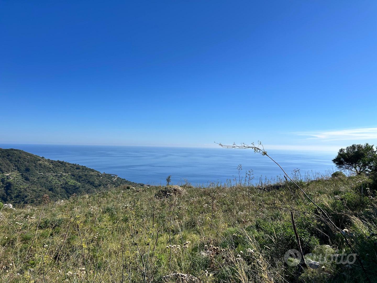 Terreno panoramico 4 ettari con rustico del 1860 - Vista 4