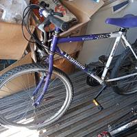 Mountambike legnano da ragazzino/a