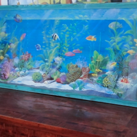 Quadro Acquario Isabella Cuccato