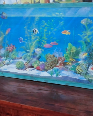 Quadro Acquario Isabella Cuccato