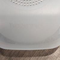 porta formaggi tupperware da frigorifero