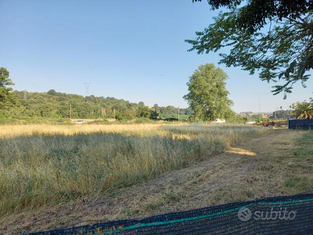 Terreno agricolo Via Tiberina a Roma