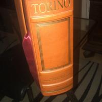 Enciclopledua treccani TORINO
