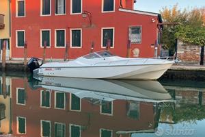 Boston whaler 25