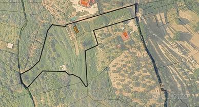 Terreno Agricolo Condrò [TAF007VCG]