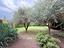 Immagine 16