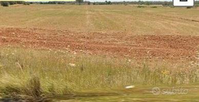 Terreno agricolo in strada Castiglione Spongano