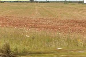 Terreno agricolo in strada Castiglione Spongano