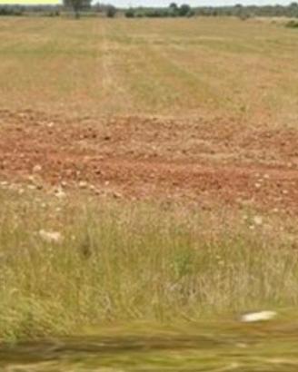 Terreno agricolo in strada Castiglione Spongano
