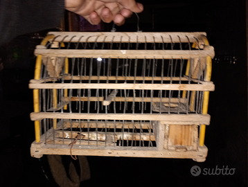 Gabbia canarini/cardellini