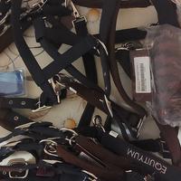 Cavezze Equityum Rinforzate