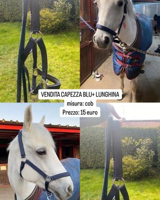 CAPEZZA EQUITAZIONE COB