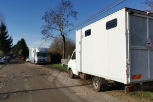 Van trasporto cavalli 35.8