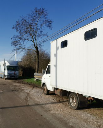 Van trasporto cavalli 35.8