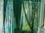 Immagine 13
