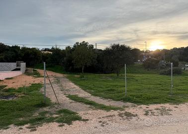 Terreno edificabile - Sa Petra Ruja, Siniscola