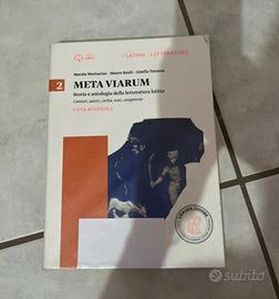 Meta viarum