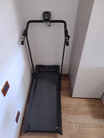 Tapirulant magnetico 